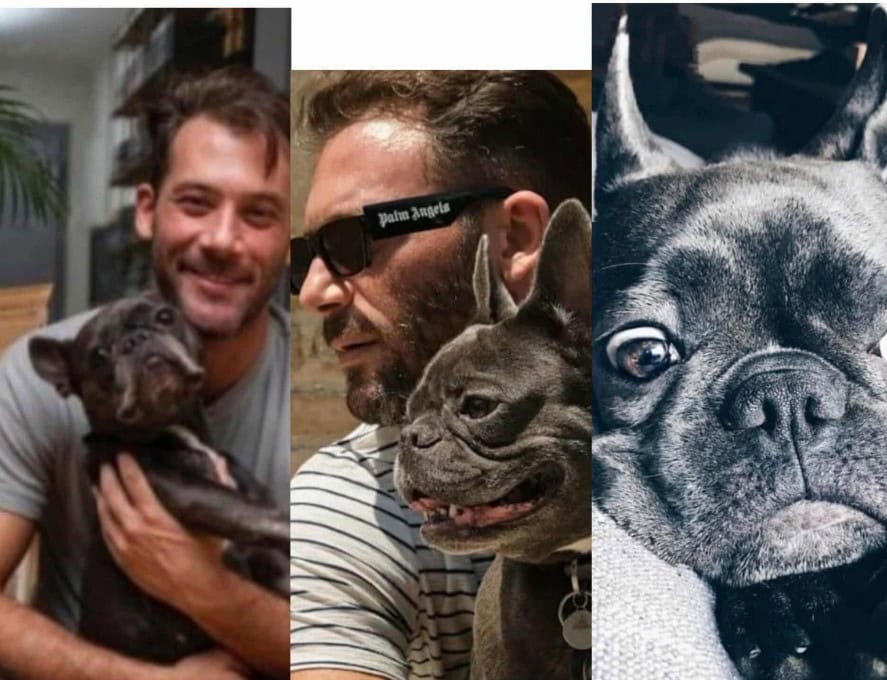 Αντίνοος Αλμπάνης: Η σχέση ζωής με τη σκυλίτσα του Μπλου