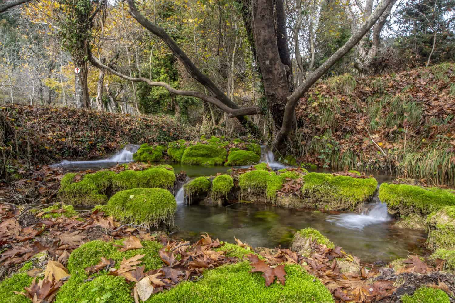5 φθινοπωρινοί προορισμοί στην Ελλάδα για περπάτημα μέσα στη φύση