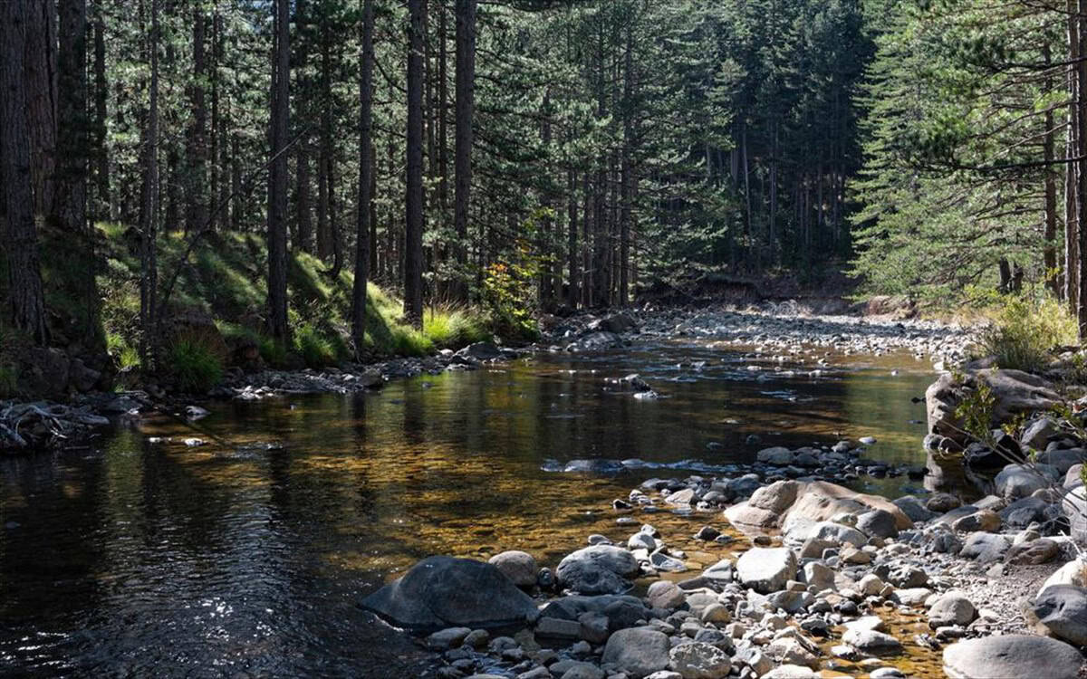 3 μαγευτικά φθινοπωρινά δάση της Ελλάδας που αξίζει να περπατήσεις