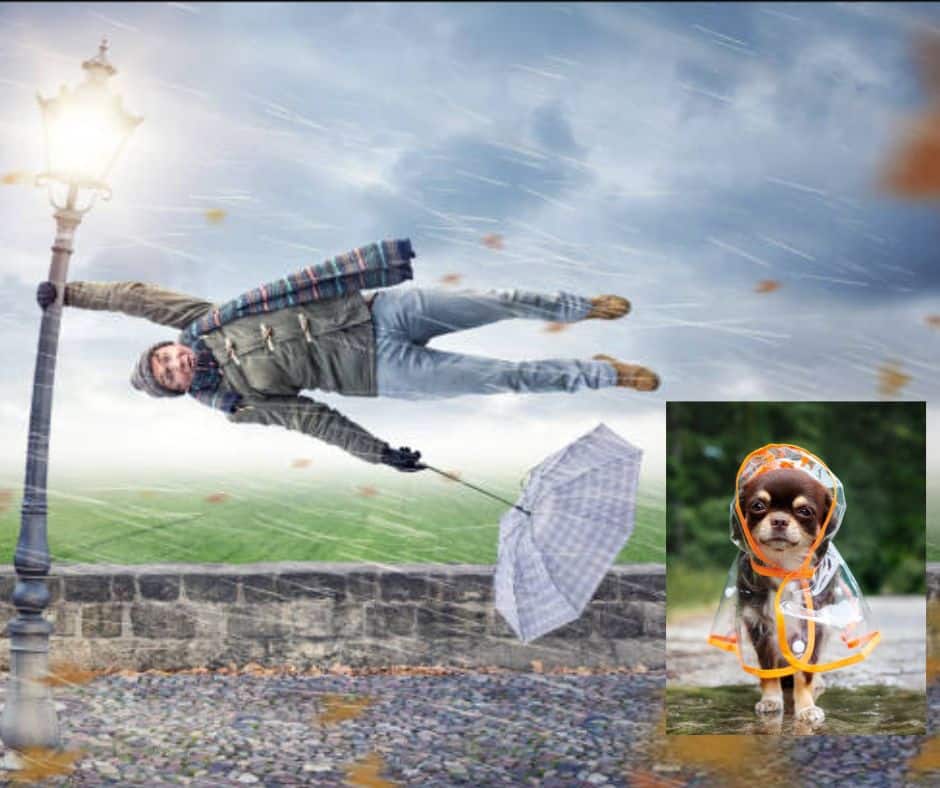 Βρέχει. Πάλι. Ο Νώε με την Κιβωτό του ψάχνει πάρκινγκ έξω από το σπίτι μου.