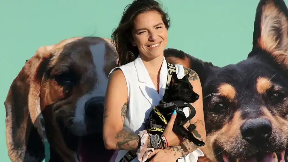 Εριέττα Κούρκουλου: Έκκληση για τα εγκαταλελειμμένα κατοικίδια στο Ντουμπάι