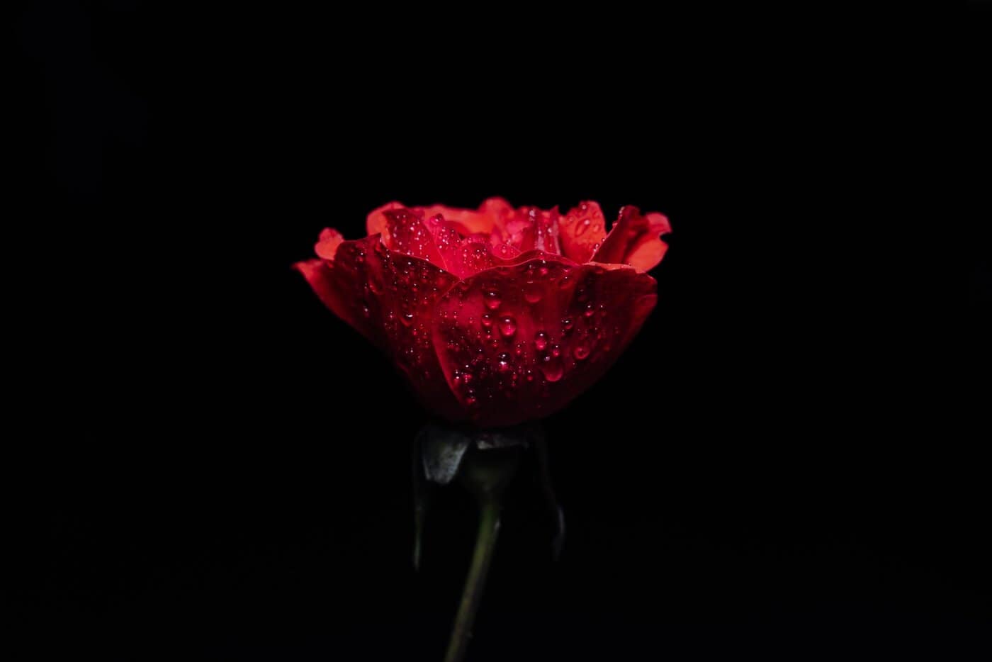 Ζώδια: Η μέρα έχει έντονο παλμό, φέρνει εξελίξεις, αλλά ζητά και σωστή διαχείριση