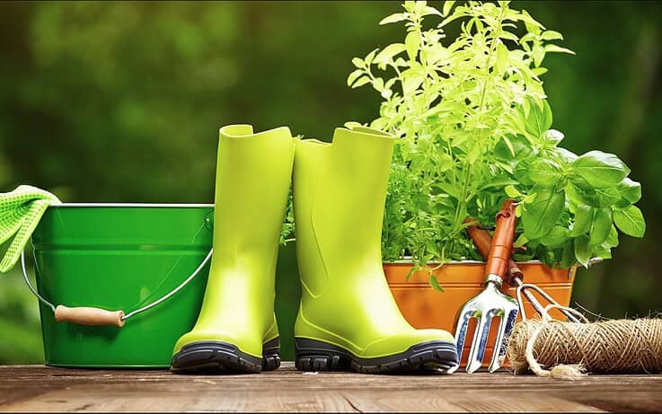 Ξυπνώντας τον μικρό μας κήπο: Πώς να προετοιμάσουμε τα φυτά μας για την Άνοιξη 