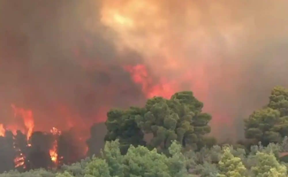 Φωτιά στη Δυτική Αττική: Στιγμές τρόμου για συνεργείο του ΣΚΑΪ – «Νίκο, φύγε» φώναζε η ρεπόρτερ