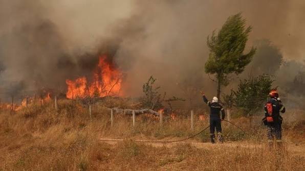 Φωτιά στη Χαλκιδική: Οι φλόγες έφτασαν σε σπίτια – Σε εξέλιξη εκκένωση διά θαλάσσης