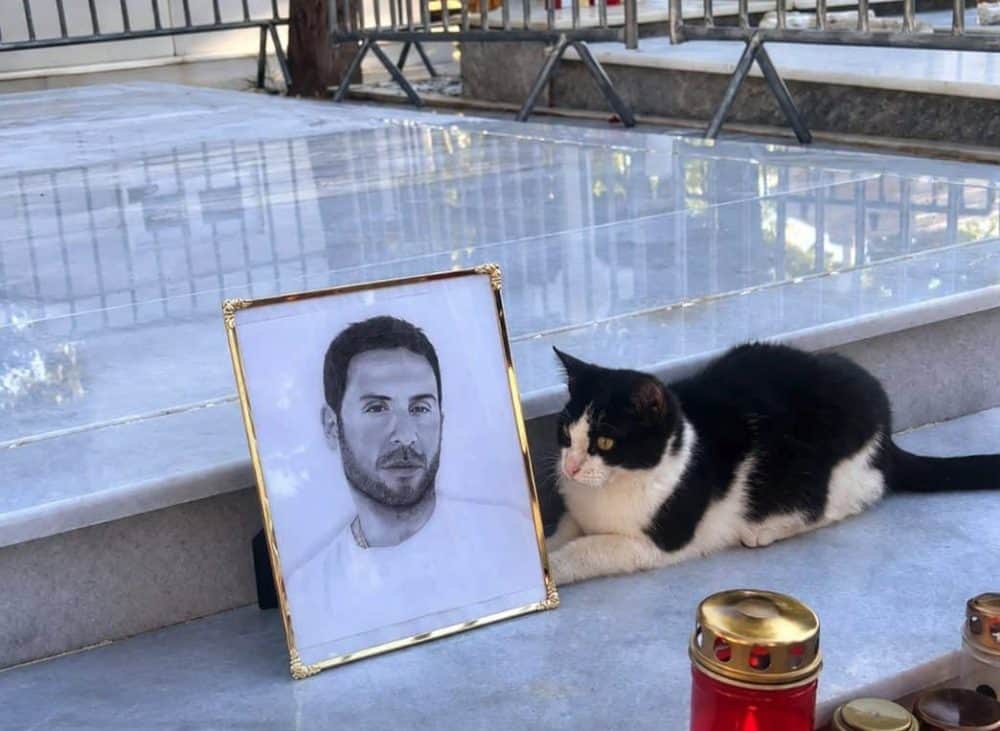 Μυστήριο στον τάφο του Μαζωνάκη: Πέντε μερόνυχτα δίπλα στη φωτογραφία του ο μικρός Μάιλο- Γιατί δεν φεύγει η  γάτα από το μνήμα
